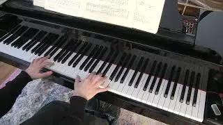 Kinderszenen Opus 15, number 1. Robert Schumann.