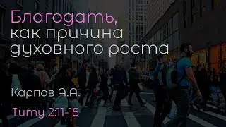 Благодать, как причина духовного роста | Карпов А.А.