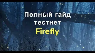 FIREFLY КАК ПРАВИЛЬНО ПРОЙТИ ТЕСТНЕТ И ЗАПОЛНИТЬ ФОРМУ ОБРАТНОЙ СВЯЗИ