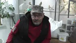 Работа с озоном, сети ,корма итд