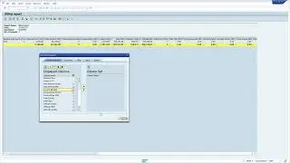 SAP : Layout Feature in Reports