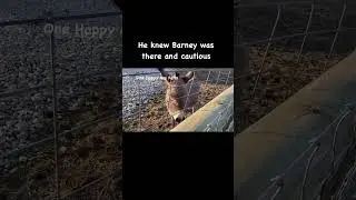 Wait you forgot me! 