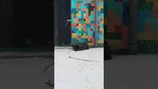 Когда в телевизоре лето,а за окном зима.....