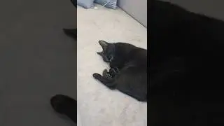 еще немного и уют🧚‍♀️☺💪
