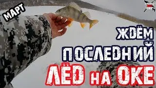 ЗИМНЯЯ РЫБАЛКА в МАРТЕ на ОКЕ! Ждем последний лед! Ловля