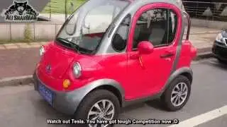 Made in China Two Seater Electric Car