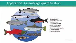 JONAH VENTURES: KNOWLEDGE IN SEQUENCE (CABW 2020 Presentation)
