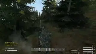 When you don't know what bush he's in
