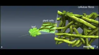 mozaik3d Animations - Papermaking