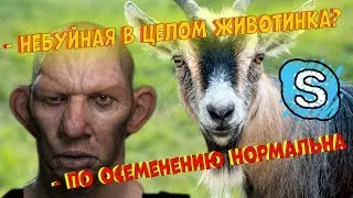 SKYPE: ГЛАД ВАЛАКАС ЗВОНИТ - ПОКУПАЕТ КОЗУ/ ЧЕРЕПАШКА/ МАТКА БАКФАС