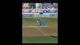 thala for reason #cricket #msdhoni