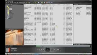 Media Monkey -Scripts and Skins