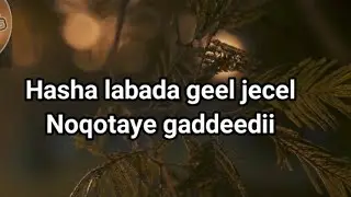 Cabdale Yuusuf Hanuuniye | Hasha Labada Gel Jecel | Lyrics