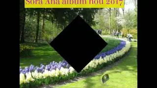 Sora Ana 2017 ,,Doamne cat imi e de greu