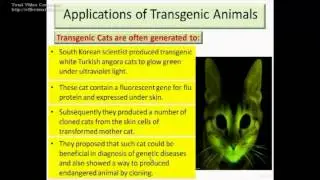 Transgenic and knockout animals - Dr Essam Ibrahim