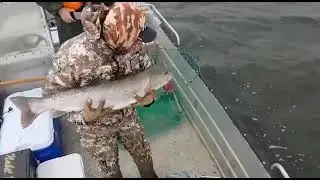 Рыбалка на Сахалине!