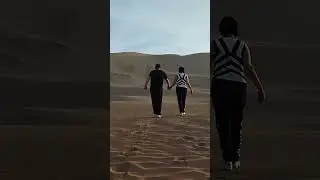 7 сентября 2024 г.