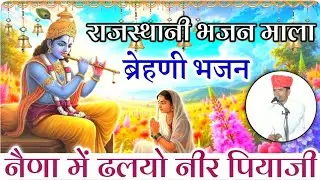 नैणा में ढल रयो नीर पियाजी मारा | Piyaji Ri Wani | ब्रेहणी भजन | Ubi Me Sarvar Teer | Shyam Vaishnav