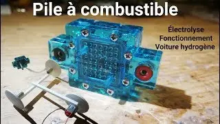 How does a PEM fuel cell work?