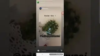 Maestro - Sözüm Söz