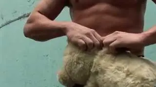 Quadcrusher vs Teddy Bear Promo