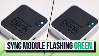 Fix your Blink Sync Module Flashing Green in Minutes!