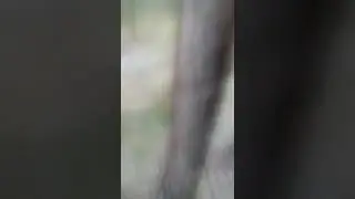 Сходили на рыбалку...