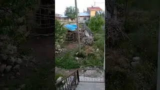 Yagca Köyü TIMIGI - Erzincan Kemah