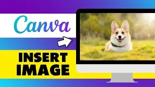 How to Insert Image in Canva Frame