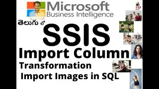SSIS Part-10 Import Column Transformation || How to Import Images in SQL