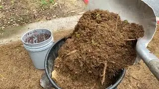 Simple stump grinding vid1 