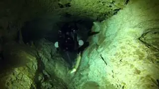 The worm Hole of cenote 