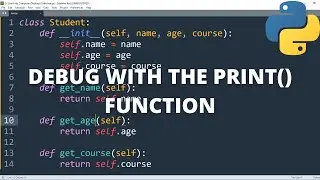 Debug with the print() Function in python