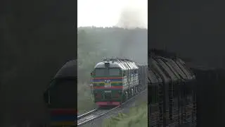 The train leaves the rain forest to the sound of raindrops on the umbrella