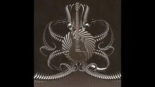 Electric Octopus 