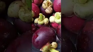 Mangosteen Health Benefits