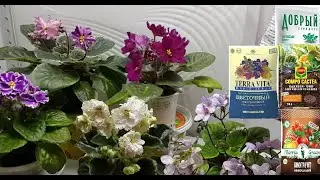 Обзор торфогрунтов 6-я сер.  Terra Vita, Composana и др.