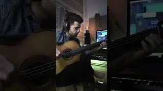 nikolaus / fretless guitar solo
