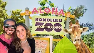 The Honolulu Zoo - Budget - Friendly Activities in Hawaii