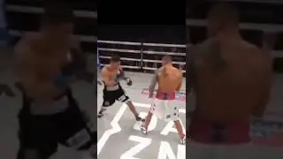 Hasil Tinju Dunia Dimitry Bivol #shorts