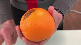Zeitgard   доказанная эффективность