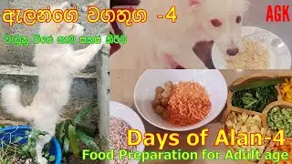 ඇලන්ගේ වගතුග -4:වැඩුනු වියේ කෑම සකස් කිරීම  | Days of Alan-4:Food Preparation for Adult age