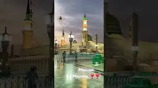 بہت ہی لطف آتا تھا۔۔۔❣❣❣#allamahafizbilalqadri #madina #memories #iftar #naat #islamic #status #dua