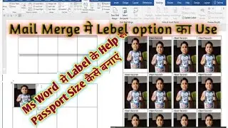 How To Make Label Passport Size in Mail Merge (MS Word)