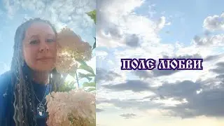 ПОЛЕ ЛЮБВИ