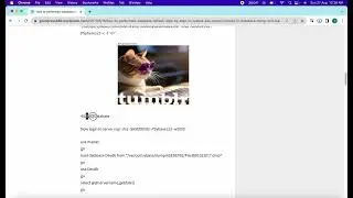 How to performed database refresh step by step in SYABSE ASE |Steps involved in database dump & load