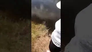 Сыкуха