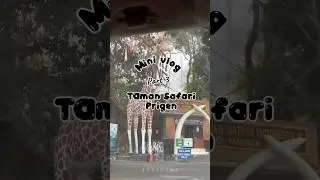 Tamam safari prigen