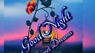 Wo zhi zai hu ni,,VS,,kehilanganmu,,,Lirik,,dan Vokal..TBS_Nicky_393🎶🎶☀️❤️