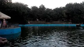 Одесса. Отдых. Парк Победы.Красивое озеро.2018